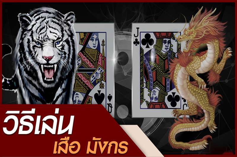 สูตร เสือมังกร แพ้ยากที่สุด-"How to play Tiger Mankorn"