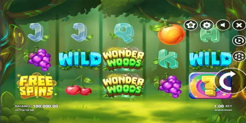 Wonder Woods