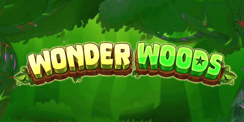 wonder woods game