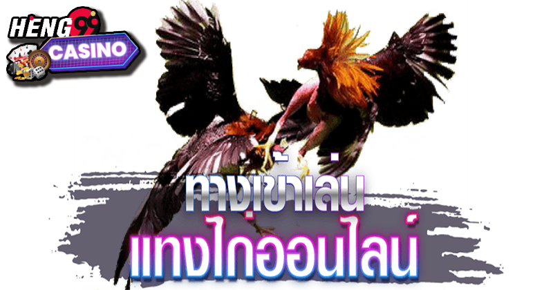 โปรเกมไก่ชน -"Cockfighting game promotion"