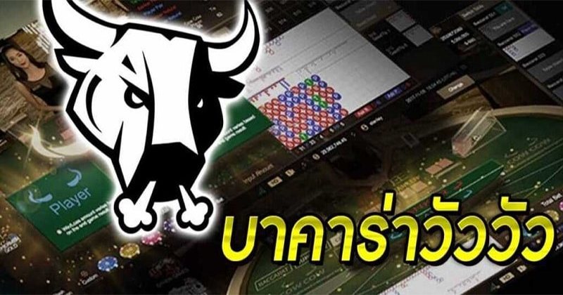 อัตราการจ่ายบาคาร่าวัววัว-"Cow Baccarat Payout Rate"