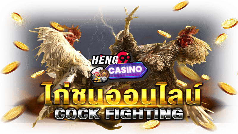 เกมไก่ชน -"cockfighting game"