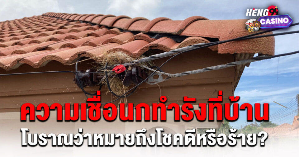 นกมาทำรังที่บ้านความเชื่อ - "Birds come to make nests at the faith house."