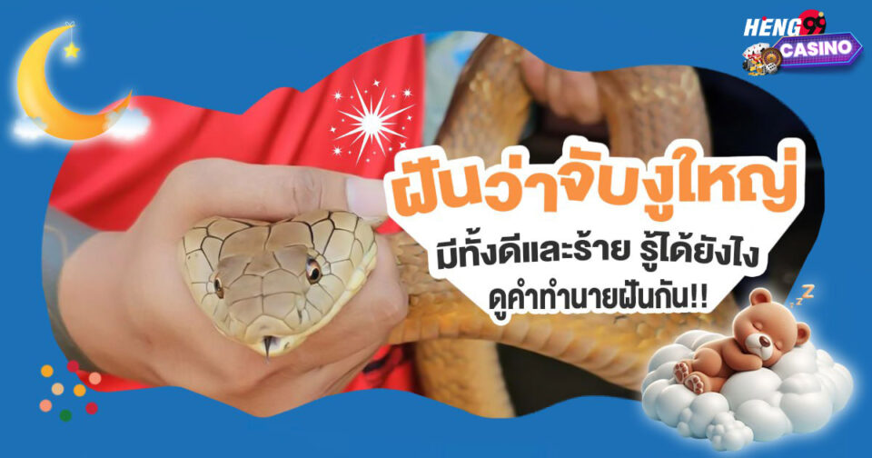 ฝันจับงูใหญ่-''Dreaming of catching a big snake''